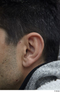 Street  537 ear 0001.jpg